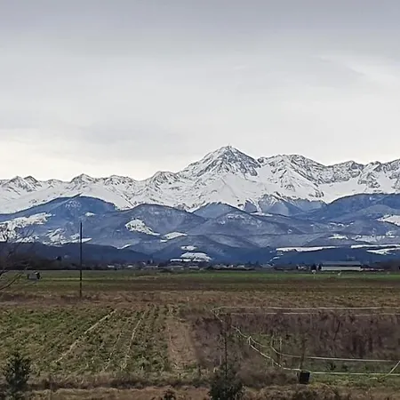 L'ecrin Des Pyrenees - Tarbes Apartment Soues