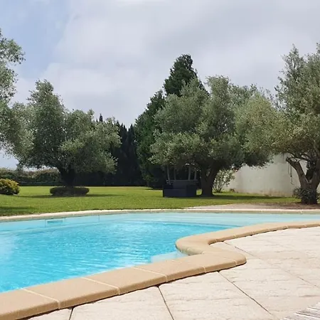 L'ecrin Des Pyrenees - Tarbes Apartment